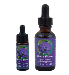 Fiesta Flower