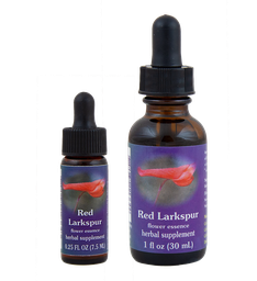 Red Larkspur