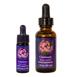 Centaury from FES