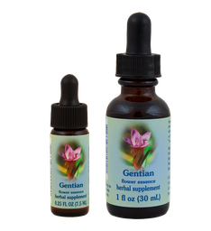 Gentian