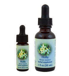 Holly