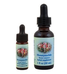 Honeysuckle