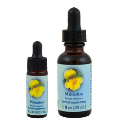 Mimulus