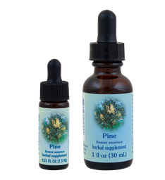 Pine
