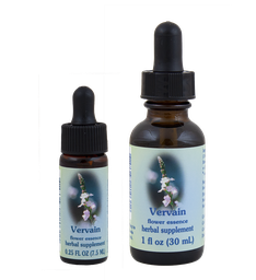 Vervain
