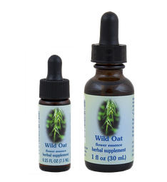 Wild Oat
