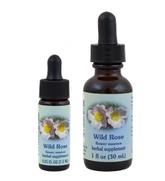 Wild Rose